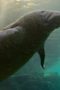 Nonton Film Earthsounds Season 1 Episode 11 Terbaru Nonton Film Earthsounds Season 1 Episode 11 Terbaru